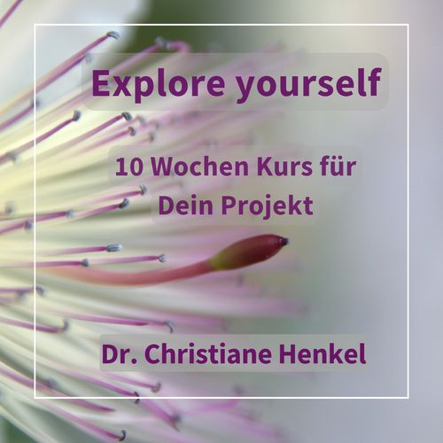 Explore Yourself 10-Wochen-Online-Kurs